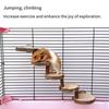 Hamster Wooden Climbing Ladder Teething Steps Golden Silk Bear Apple Wood Chew Toys Honey Possum Tree Rat Habitat Decorations