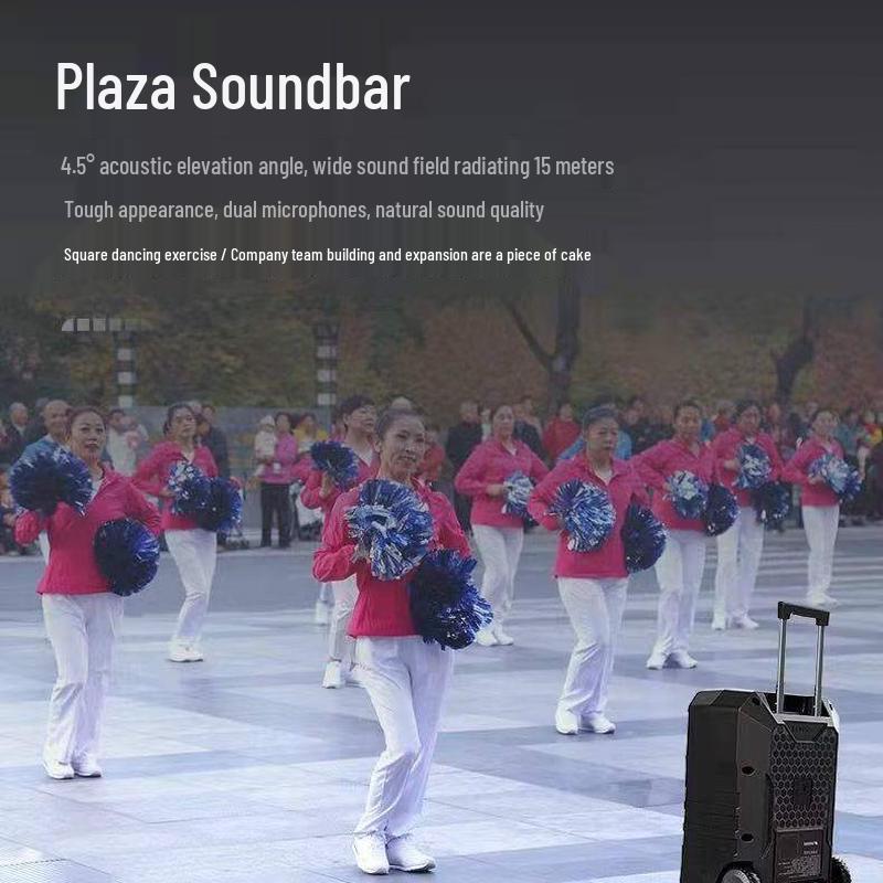 SANSUI D08pro High-Power Portable Speaker (CN version)