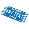 Custom Metal Sign Detroit Lions Personalized License Plate Car Decor
