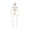 40cm Human Skeleton Model Realistic Bone Structure Halloween Haunted House Prop Anatomy Decoration for Party Room Escape Game