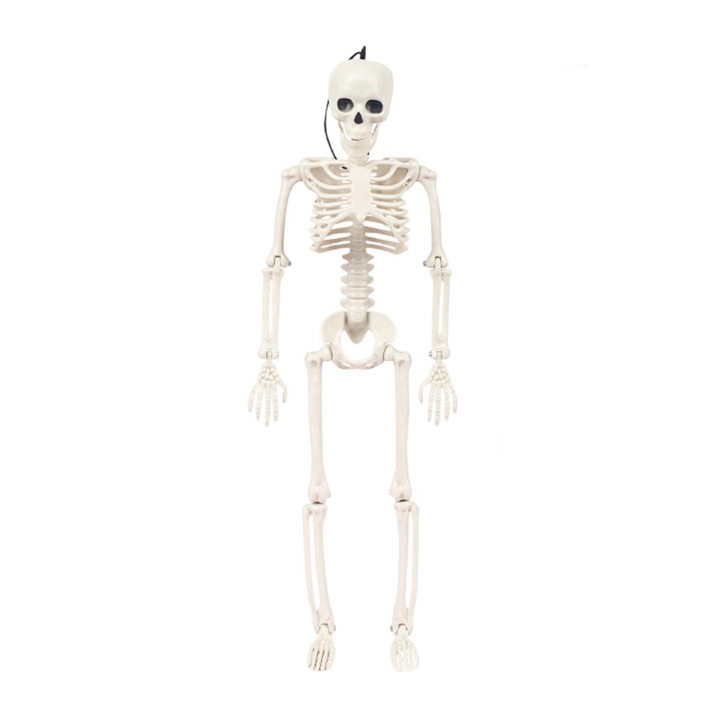 40cm Human Skeleton Model Realistic Bone Structure Halloween Haunted House Prop Anatomy Decoration for Party Room Escape Game