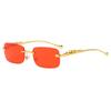 New Rimless Rectangle Vintage Metal Leopard Head Sunglasses Fashion Frameless Tinted Glasses Shades For Women Men