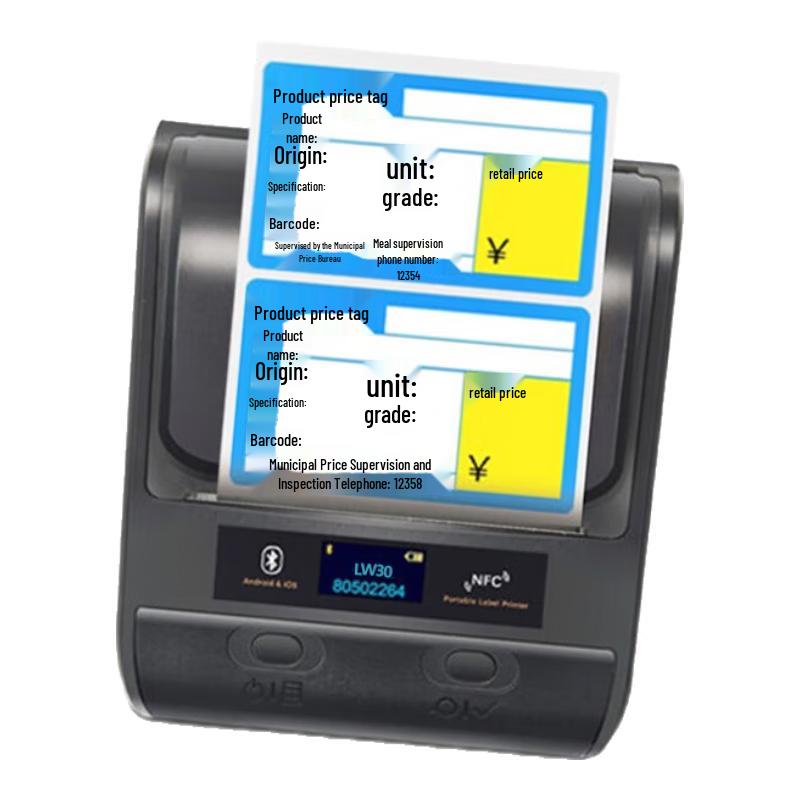 Lingwen LW30 Portable 80mm Thermal Label Printer