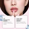 EELHOE Hydrating Tinted Lip Balm Set for Plump, Soft Lips