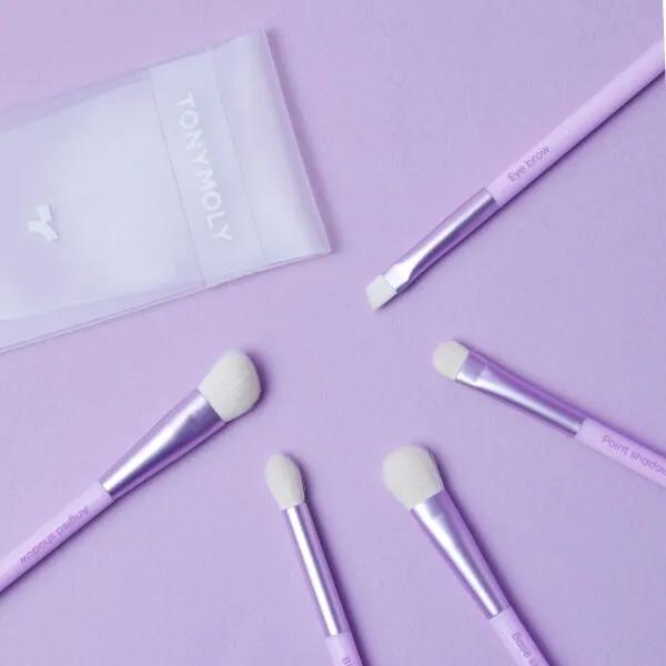 Eye Makeup Brush Set of 5