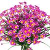 12 Mazzi di Fiori Margherita Artificiali 7 Colori Fiori Finti per Decorazione Esterna e Interna Fiori Artificiali in Vaso