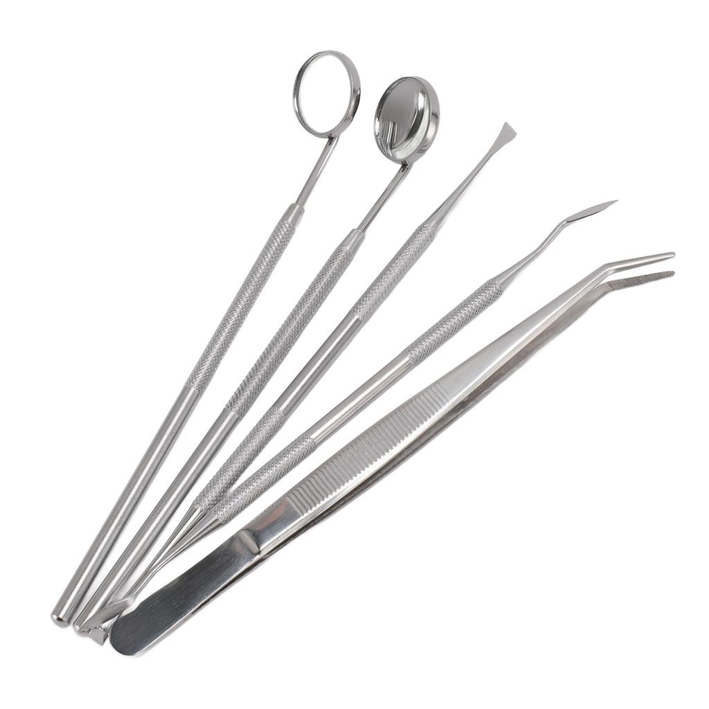 5pcs Teeth Cleaning Tools Stainless Steel Tooth Tartar Scraper Oral Care Tool with 2 Mouth Mirror 2