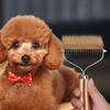 Perros – Productos de peluquería canina