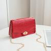 An Autumn and Winter Crocodile Pattern Lock Chain Change Small Square Bag Single Shoulder Personalized Simple Women's Bag
