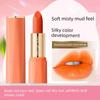 Authentic Blood Orange Lipstick, Matte Finish, Niche Brand, Affordable Warm Orange, Natural Carrot Pumpkin Shade