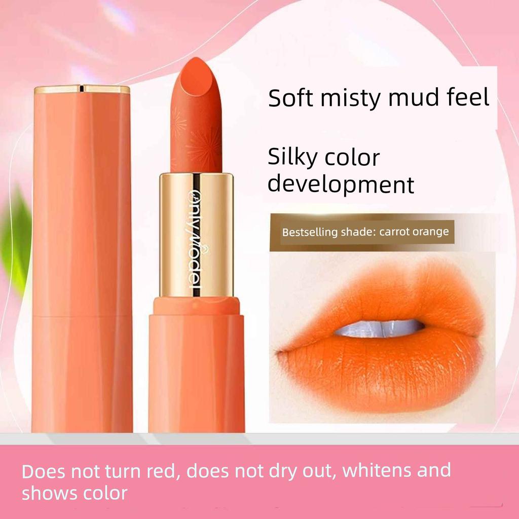 Authentic Blood Orange Lipstick, Matte Finish, Niche Brand, Affordable Warm Orange, Natural Carrot Pumpkin Shade