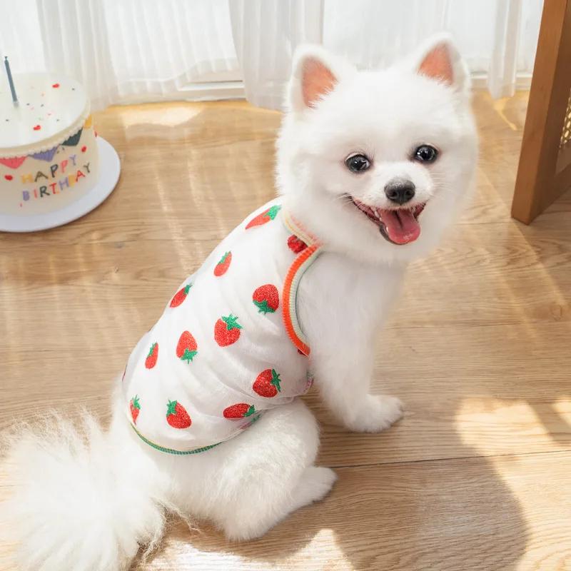 2Pcs Summer Pet Mesh Vest Breathable Strawberry Dot Dog Clothes for Small Dogs Cats Puppy Sunscreen Shirt