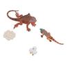 Iguana Life Cycle Model Set Growth Lifelike PVC Plastic Toy Early Education Animal Figures