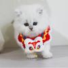 New Year Pet Bib & Woolen Scarf: Spring Festival Collar for Attracting Wealth and Blessings
