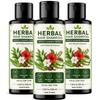 Herbal Hair Shampoo 100 Ml- Gentle Cleansing Formula With Natural Extracts Suitable All Hair Types (Pack of 3)
