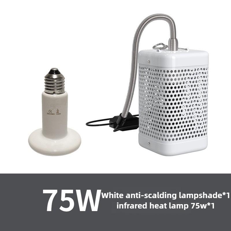 Lampada Termica per Pappagalli con Paralume Scatola di Allevamento in Ceramica Lampada Riscaldante da Appendere Luce Riscaldante a Infrarossi Gabbia Lampade Riscaldatore per Uccelli Piccoli Animali Domestici