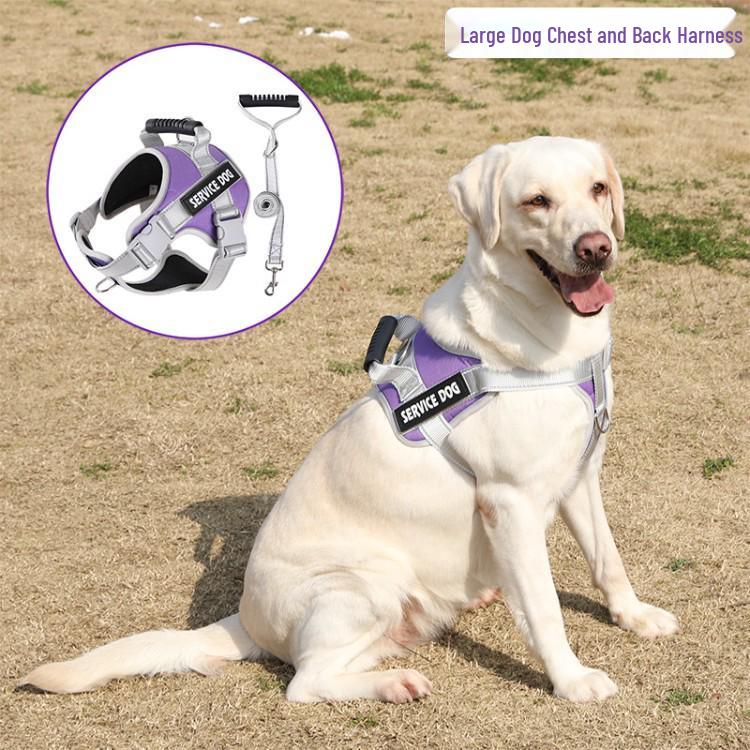 Adjustable Vest-Style Harness & Leash for Shiba Inu and Corgi Puppies
