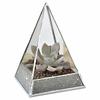 Eco-Friendly Indoor Glass Greenhouse for Succulents and Bonsai Plants