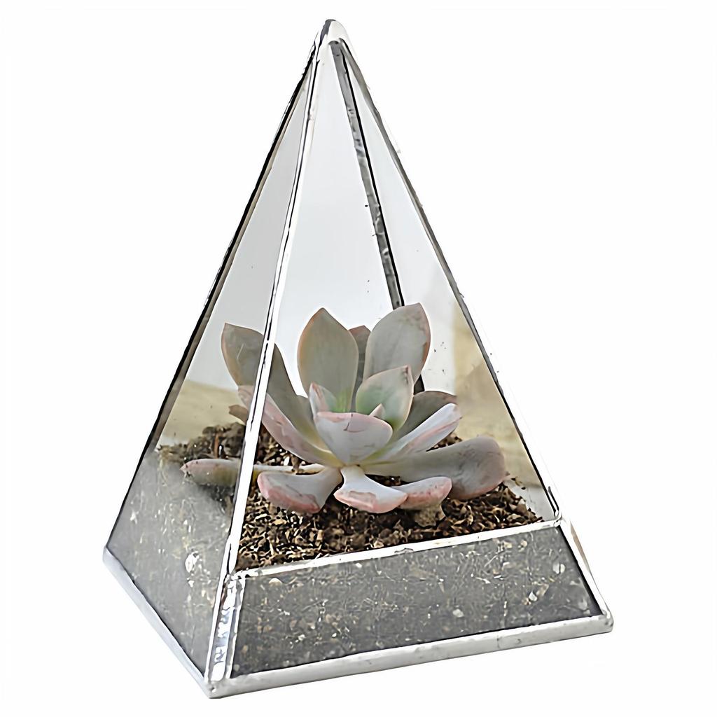 Eco-Friendly Indoor Glass Greenhouse for Succulents and Bonsai Plants