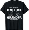This Is What A Really Cool Grandpa Looks Like Funny T-Shirt T-Shirt