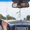 Yousheng Roast Duck Hanging Ornament Car Rearview Mirror Duck Hanging Decoration Resin Animal Figurine Pendant Car Interior Accessories