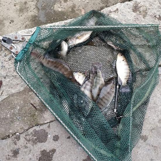 Automatic Fishing Hook High Elasticity Full Speed Stainless Steel Spring Fishhook Outdoor Fishing Bait Catch Hook Fishing Gear