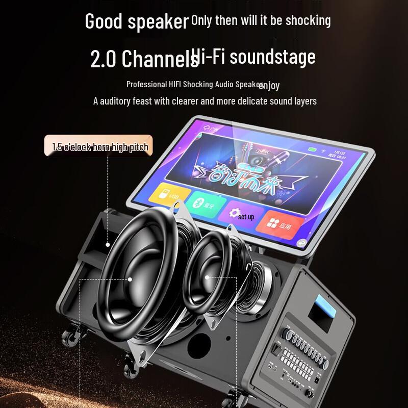Philips SD290 KTV Home & Outdoor Speaker (CN Version)