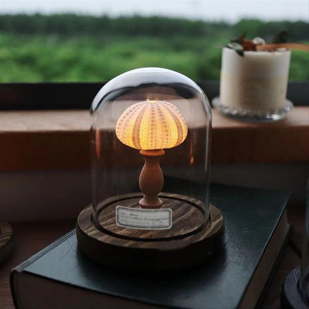Flicker Free Shell Lamp Soft Lighting Mini LED Lamp Vintage Style Desk Lamp Holiday Gift