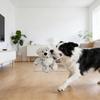 Haustierspielzeug Bärenform Bissfest Plüsch Hund Kauspielzeug mit eingebautem Geräuschgerät Zähne Mahlen Zahnfleisch Massage Puppe Spielzeug Weiches Interaktives Stressabbau Spielzeug