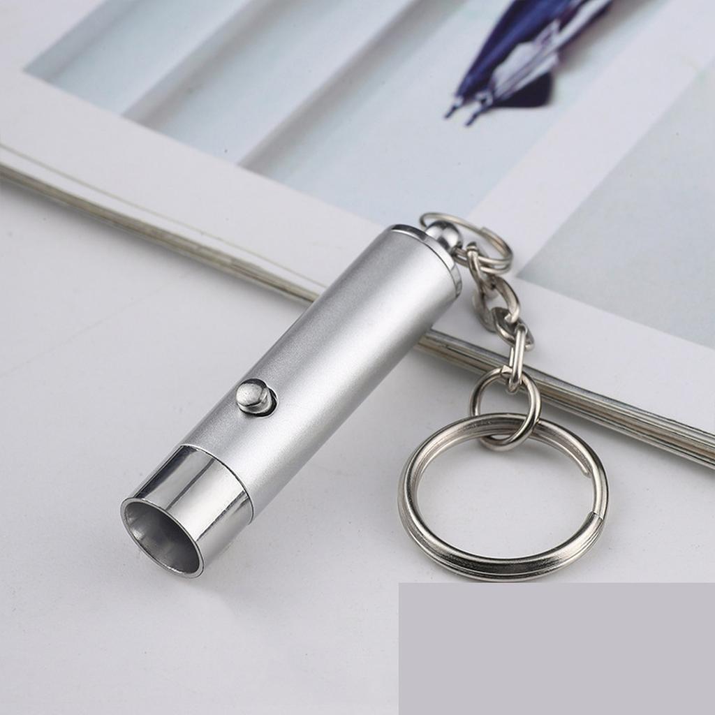 Toy Red Pointer Dog Interactive Training Tools LED Torch Light with Keychain