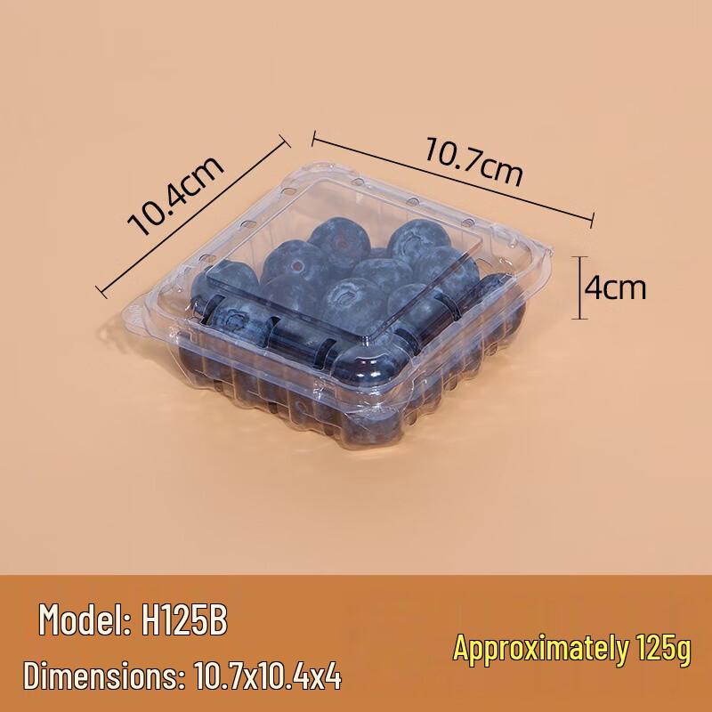 

Saikeyou Disposable Transparent Blueberry Packaging Boxes 1000 pieces