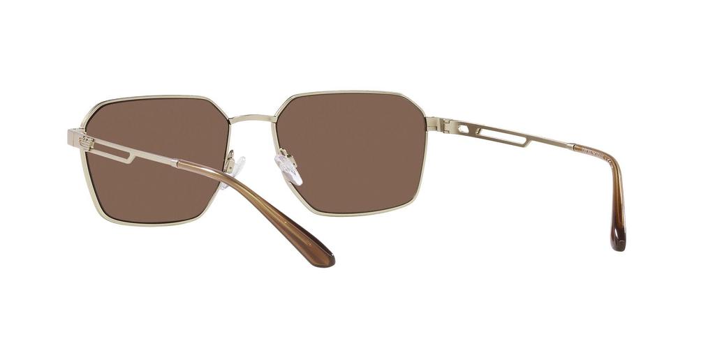 Lunettes de soleil EA2140 MAT OR PÂLE MAT Verre MARRON 57 [Emporio Armani] Monture/FONCÉ