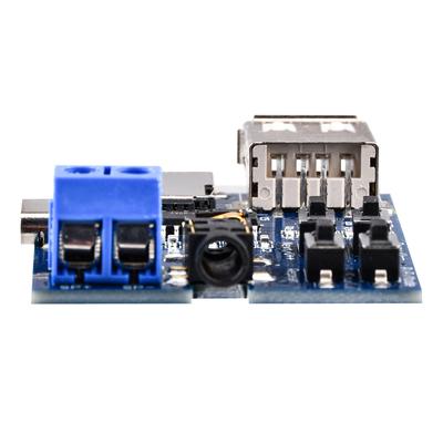 Einteiliger Typ-C/Micro-USB-Schnittstelle TF-Karte U-Disk MP3-Format Dekodierboard Modul Verstärker Dekodierung Audio-Player