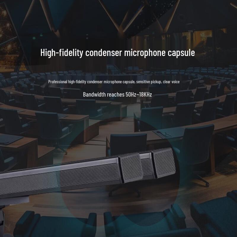 Runpu UHF Wireless Conference Dual Gooseneck Microphone System (CN Version)