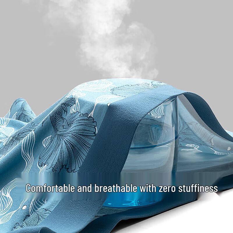 Jianjiang Men's Antibacterial Modal Boxer Briefs 3-Pack