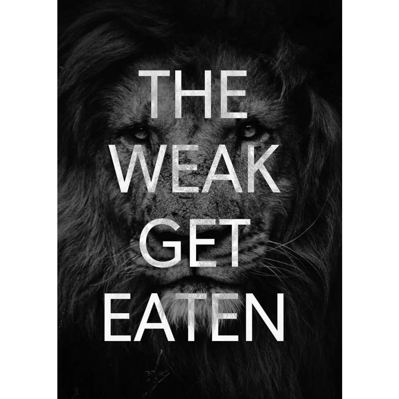 Mindset Is Everything Lion Eagle Wolf Cat Tiger HD Pictures Poster Inspirational Quotes Canvas Painting Wall Art Room Home Decor