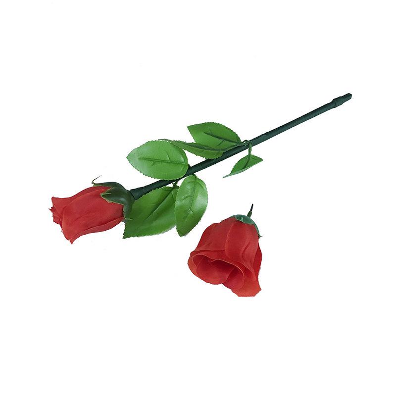 Northern Magic Beginner s Rose Regeneration Prop Random Color