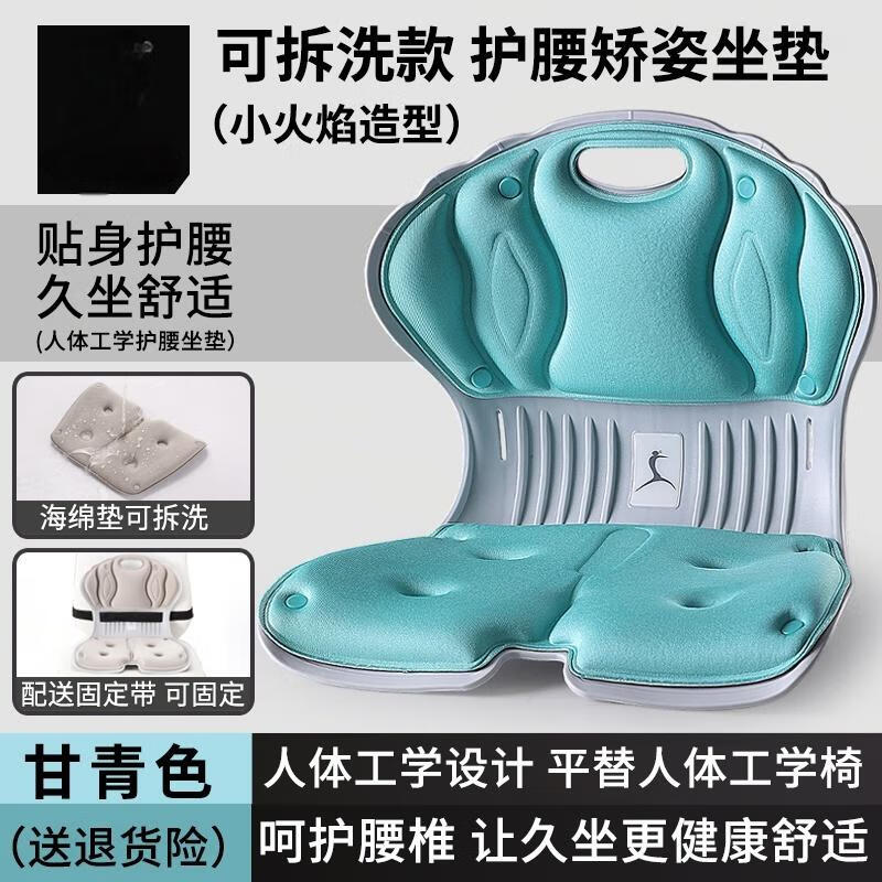 Aige Lumbar Support Office Cushion