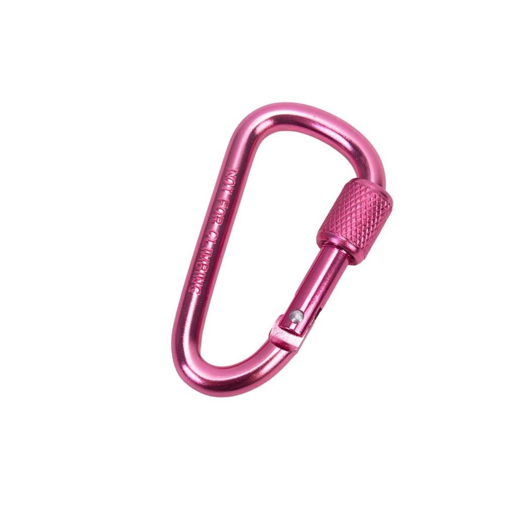 D-Shaped Locking Aluminum Carabiner No. 6 with Keyring for Backpack and Rope