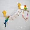 Multifunctional Parrots Stand Branch Ladder Scratchers for Conure Lovebirds