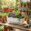 Thicken Seedling Tray Self Watering Plant Nursery Pot Germination Tray  Vegetable Gardening