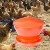 Automatic Chicken Bird Feeder, Farm Feeding Bucket, Detachable Bowl, Livestock Breeding