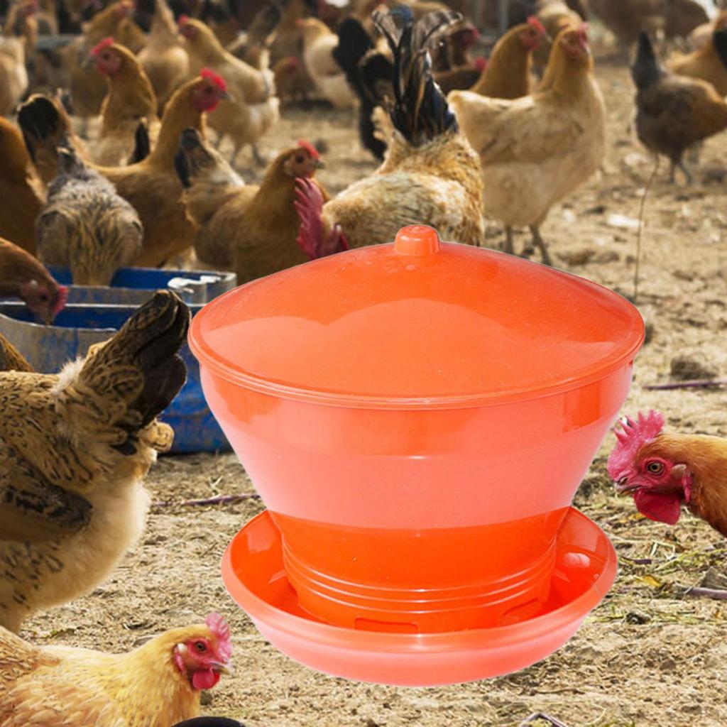 Automatic Chicken Bird Feeder, Farm Feeding Bucket, Detachable Bowl, Livestock Breeding