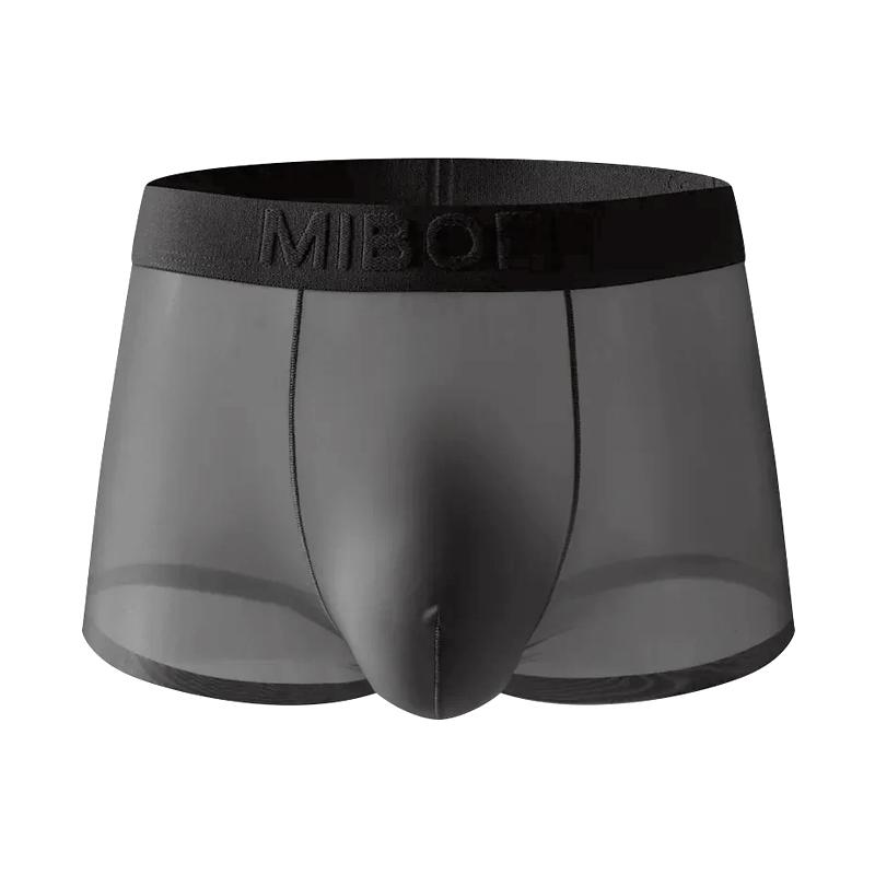 1 Stück Slips Dessous Nylon Einfarbig Unterwäsche Sexy Durchsichtig Boxer Briefs Transparentes Netzbeutel Herren
