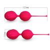 Silicone Smart Love Kegel Ball for Vaginal Tight Exercise Machine Vibrating Ben Wa Ball of Sex Toys for Women Dumbbell Ball