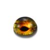 10Pcs/Lot 8-20mm Dragon Eyes Cat Eye Glass Cabochons for DIY Glass Cabochons Jewelry Making Accessories Supplies
