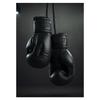Boxer Boxing Gloves Premium Prints Poster Canvas Painting Modern Wall Art Picture Living Room Bedroom Home Boxing Gym Decoration
