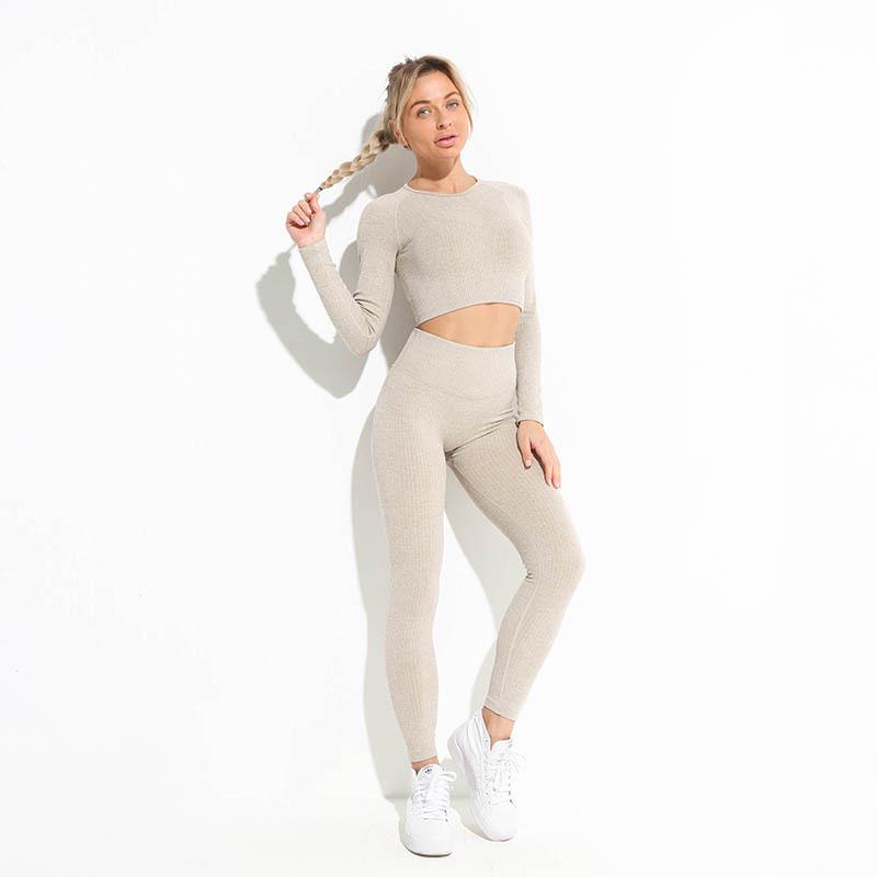 Women's Seamless Long Sleeve Yoga & Fitness Set