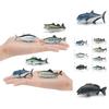Marine Animal Static Model Toy With Realistic Fish Design For Collectors And Decor