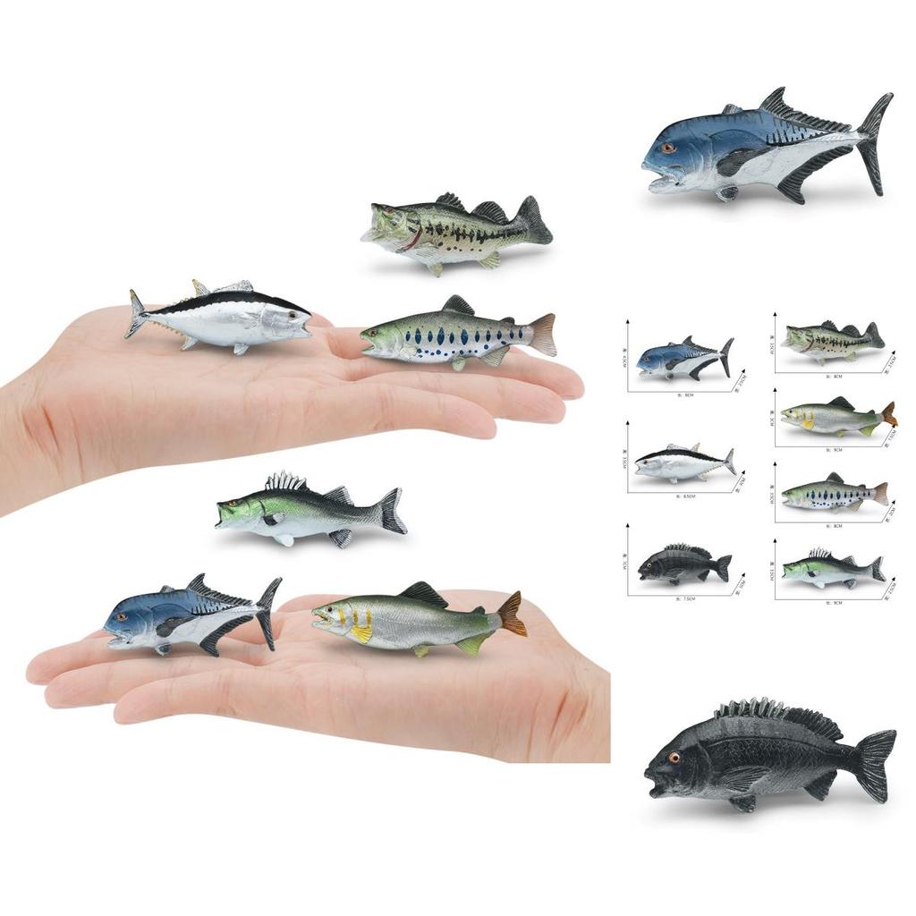Marine Animal Static Model Toy With Realistic Fish Design For Collectors And Decor